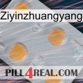 Ziyinzhuangyang 24